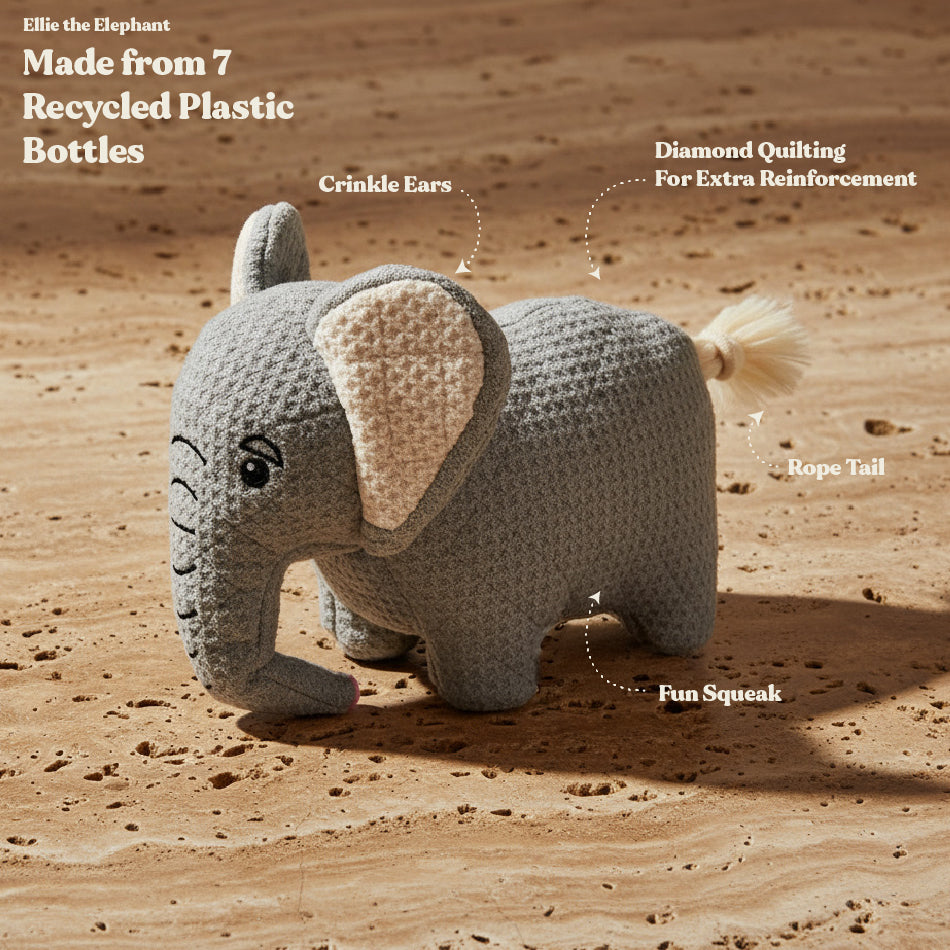 Ellie the Elephant - Jumbo