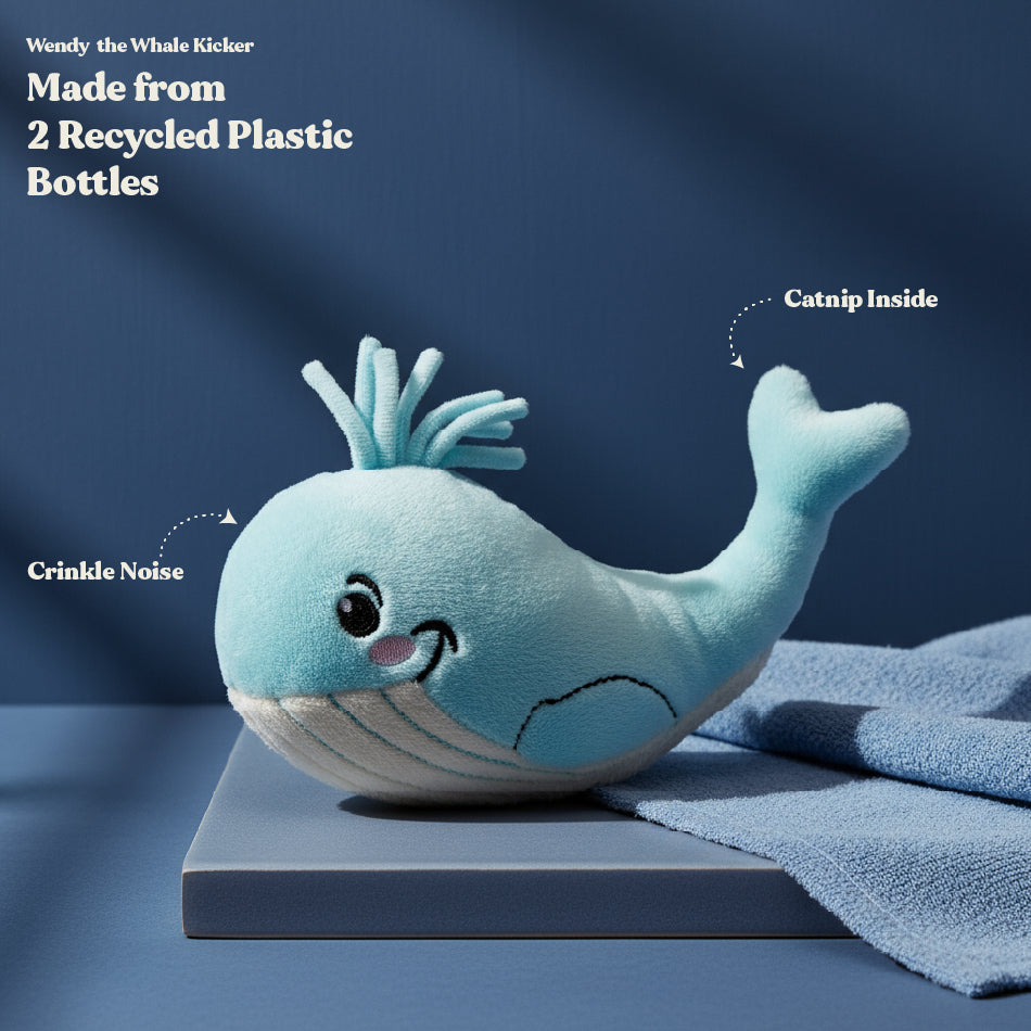 Wendy the Whale Kicker