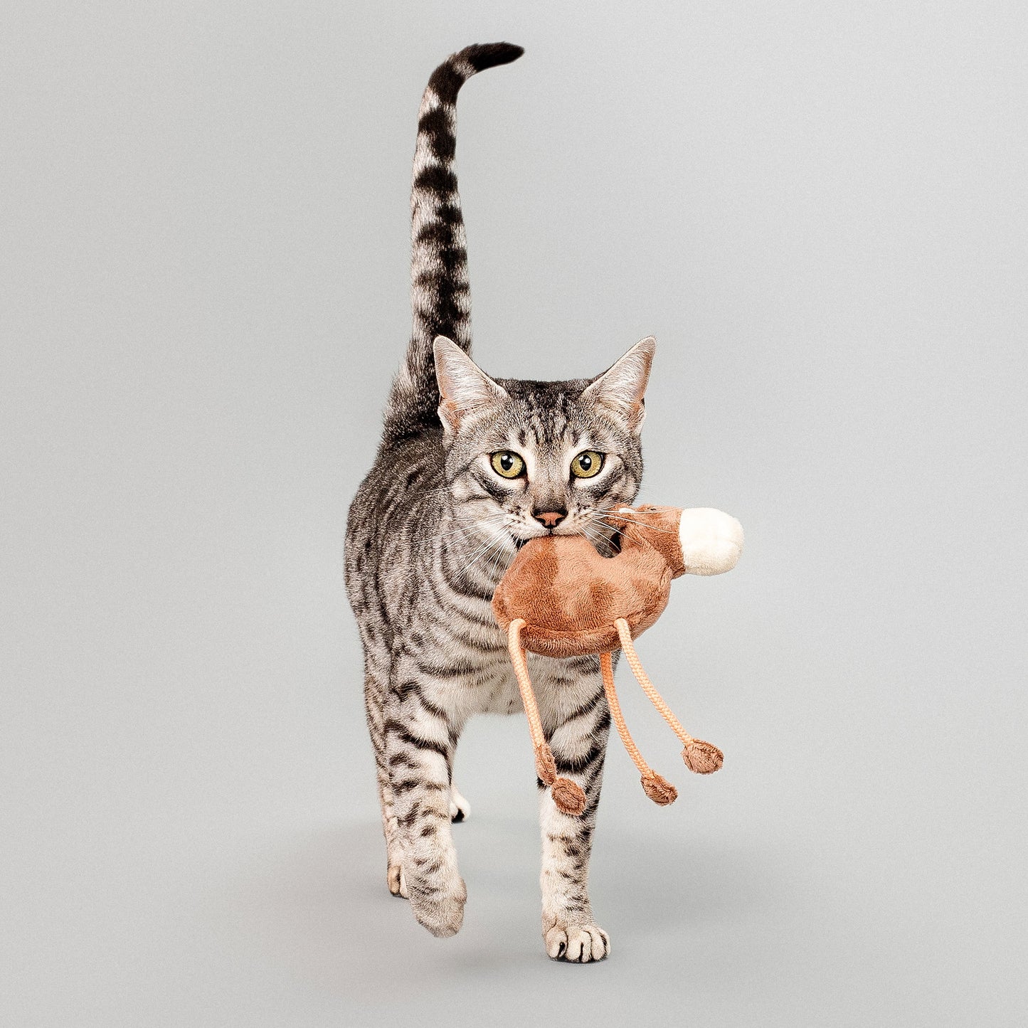 Calvin the Camel - Cat Toy