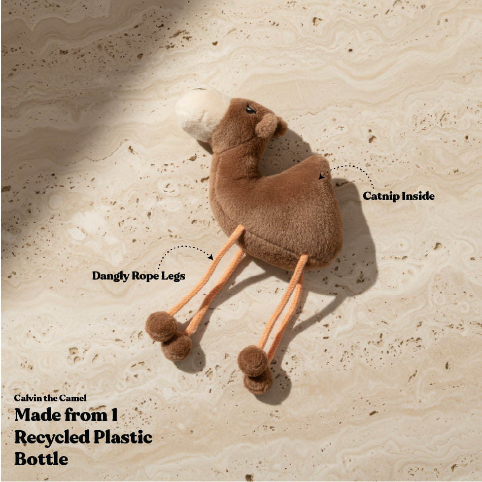 Calvin the Camel - Cat Toy