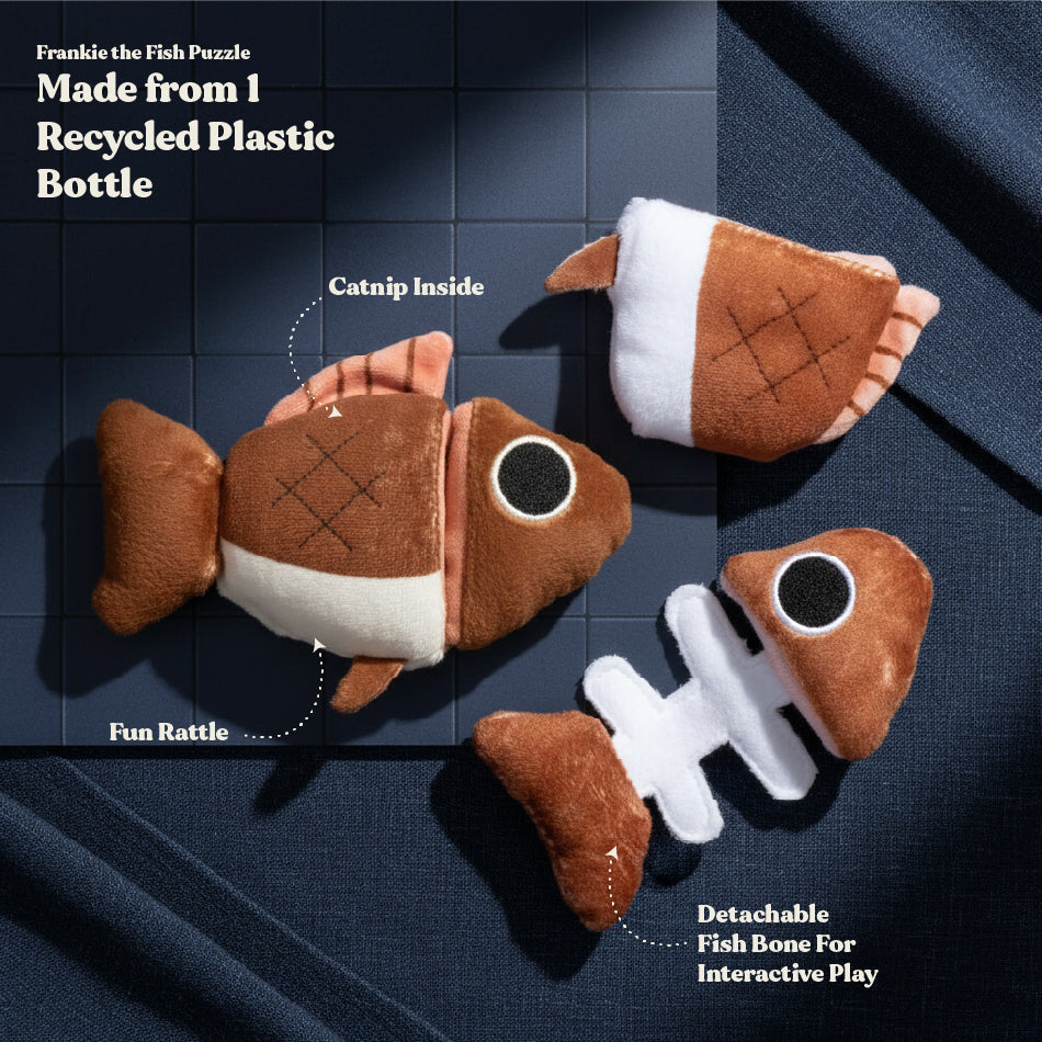 Frankie the Fish Puzzle