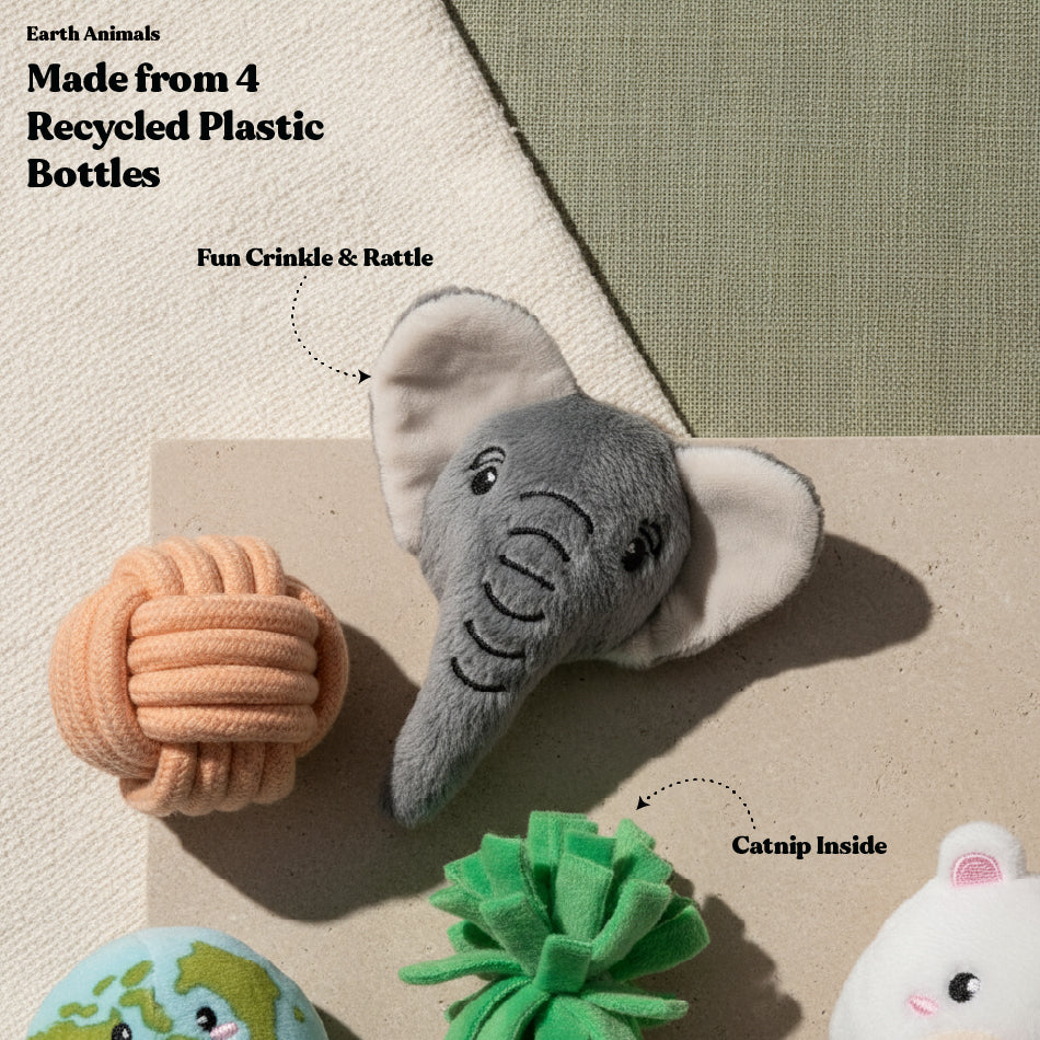 Earth Animals 5-pack