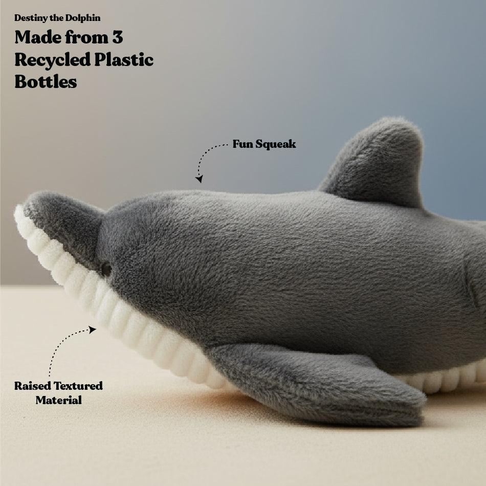 Destiny the Dolphin