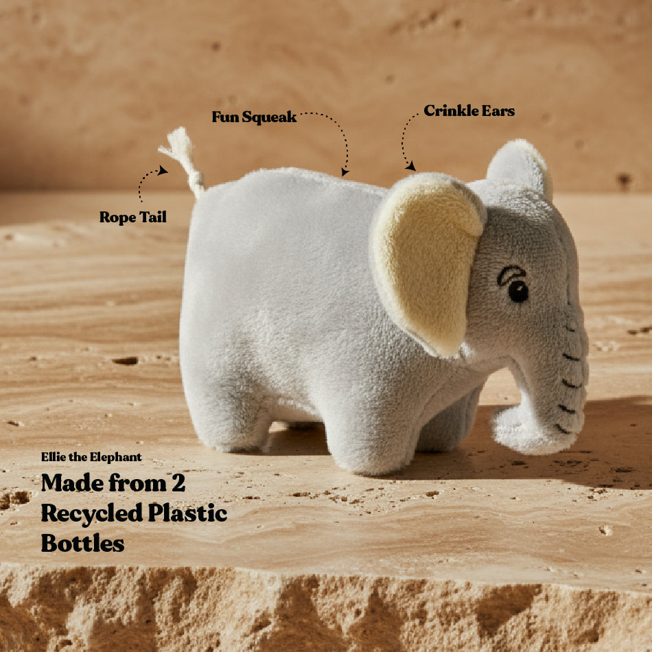 Ellie the Elephant - Small