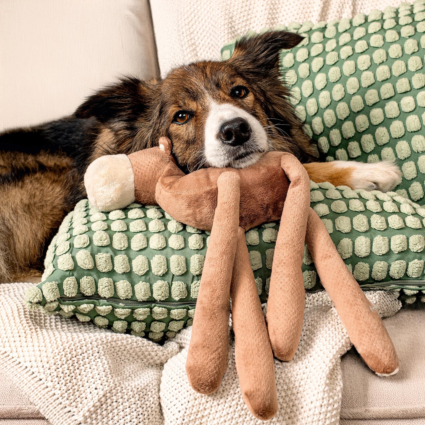 Camel Dog Toy