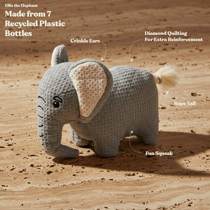 Ellie the Elephant - Jumbo