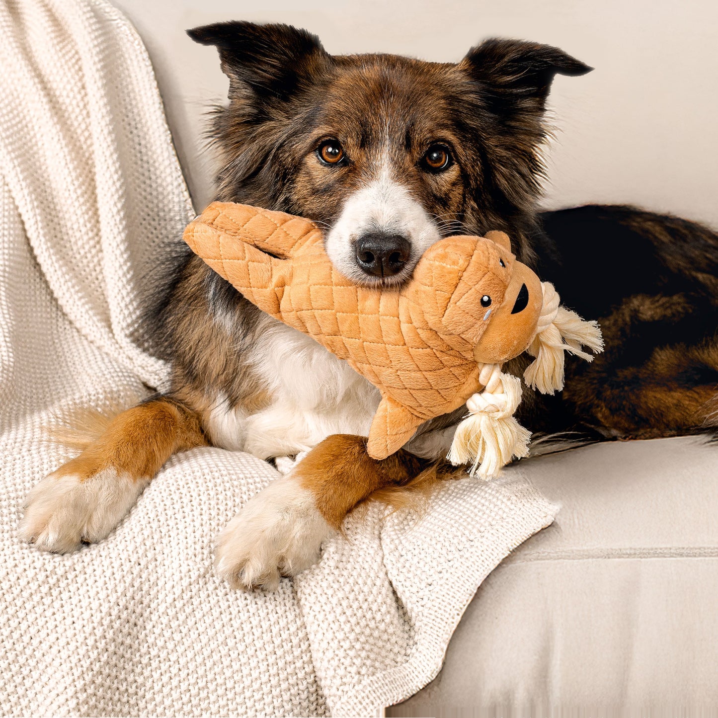 Walrus Dog Toy