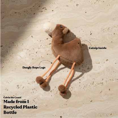 Calvin the Camel - Cat Toy