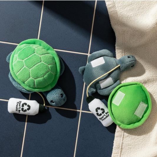 Tammy the Turtle Puzzle