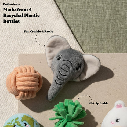 Earth Animals 5-pack