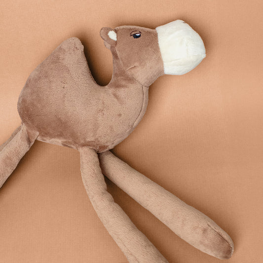 Calvin the Camel