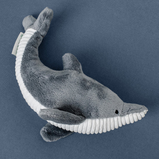 Destiny the Dolphin