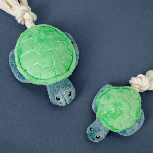Timmy the Turtle - Medium