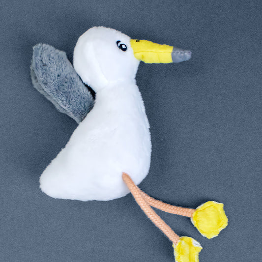Sally the Seagull