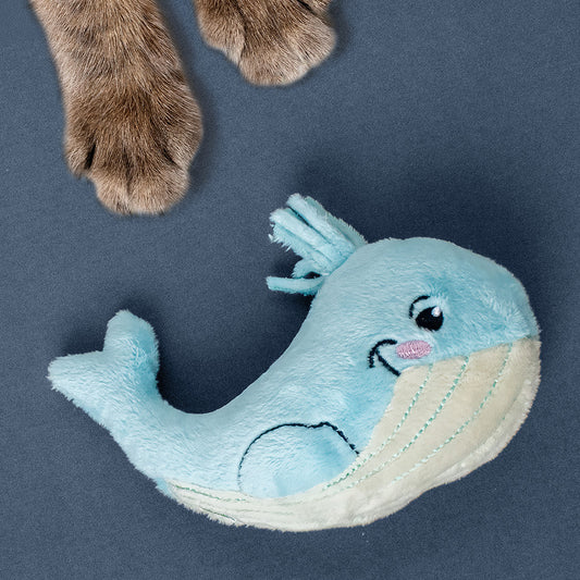 Wendy the Whale Kicker