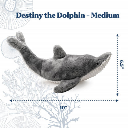 Destiny the Dolphin