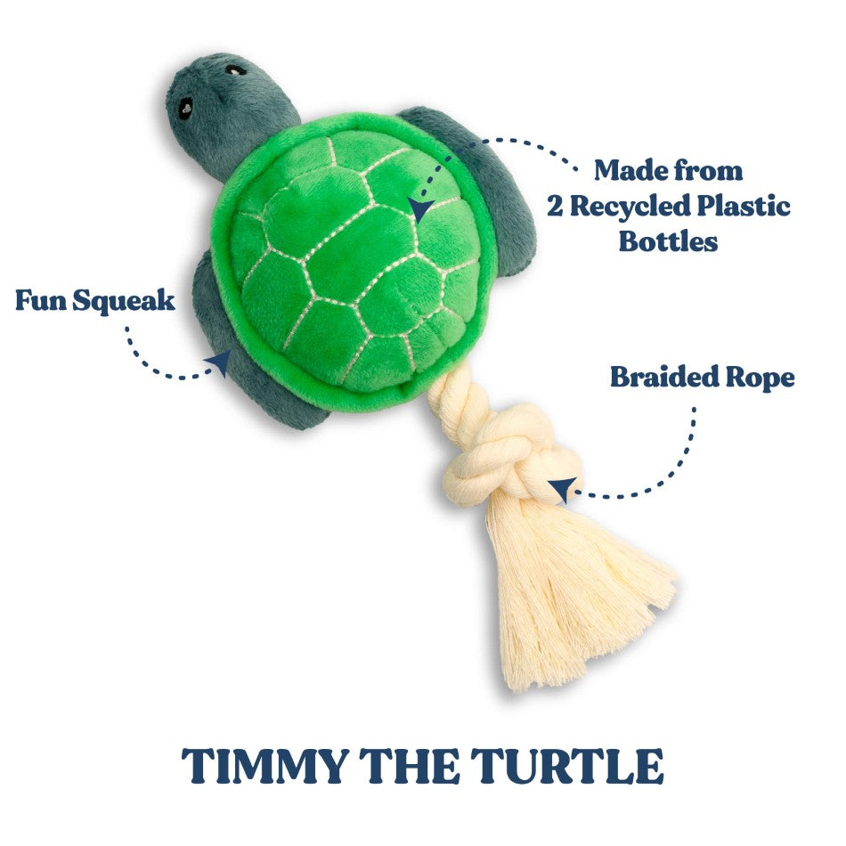 Timmy the Turtle - Small