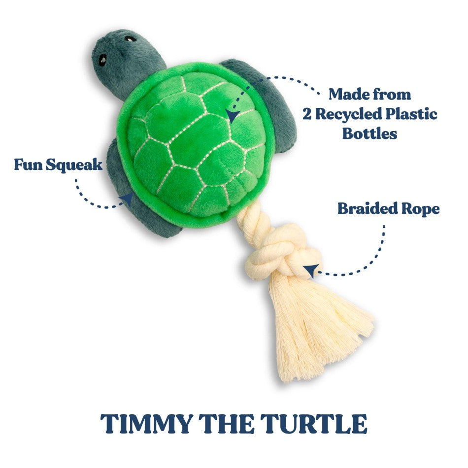 Timmy the Turtle - Medium