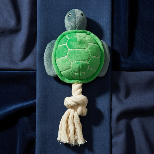 Timmy the Turtle - Small