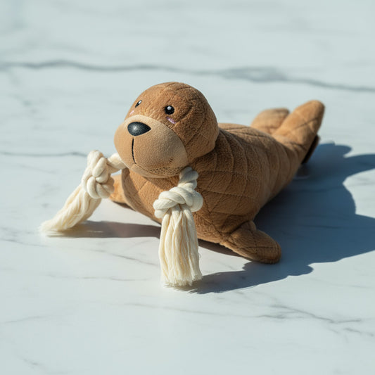 Walter the Walrus